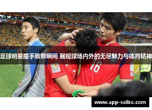 足球明星摆手致敬瞬间 展现球场内外的无尽魅力与体育精神 足球明星摆手致敬瞬间 展现球场内外的无尽魅力与体育精神