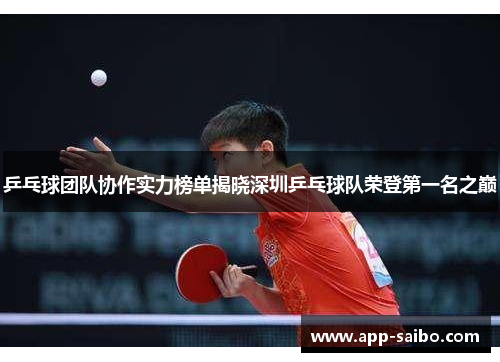 乒乓球团队协作实力榜单揭晓深圳乒乓球队荣登第一名之巅