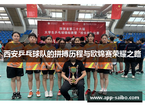 西安乒乓球队的拼搏历程与欧锦赛荣耀之路