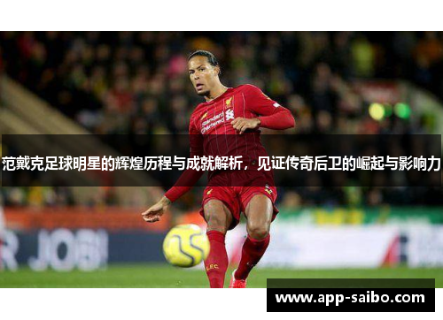范戴克足球明星的辉煌历程与成就解析，见证传奇后卫的崛起与影响力
